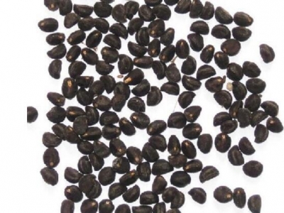 牽?；ǚN子泡水開(kāi)裂